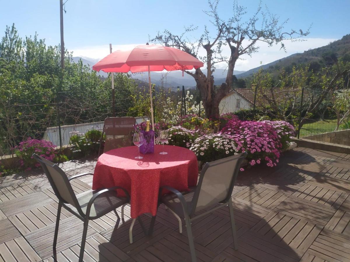 Bendéjun Studio Le Romantique A 20 Kms De Nice מראה חיצוני תמונה