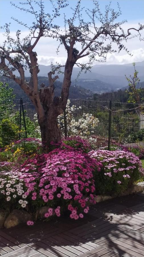 Bendéjun Studio Le Romantique A 20 Kms De Nice מראה חיצוני תמונה
